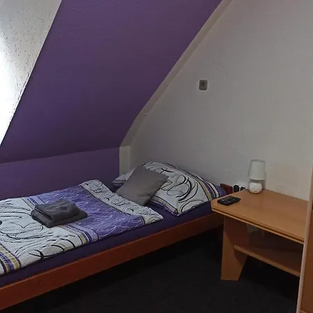 Forest Guest house *