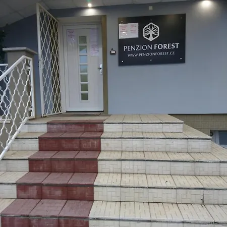 Forest * Розвадов