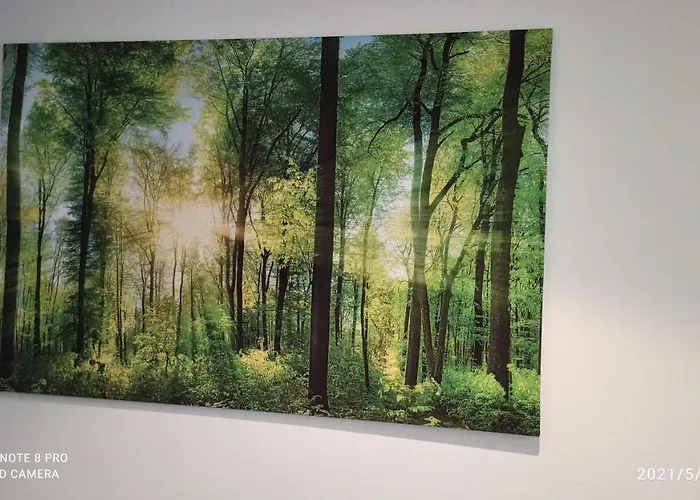Forest *